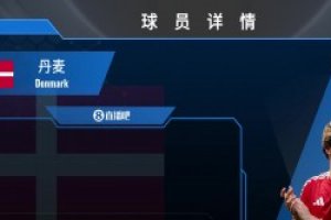 霍伊伦球员集锦：丹麦前锋 球场上的拼命三郎