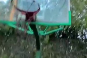 好家伙，挺能撞啊！野球场肘姐：你看我行不行？